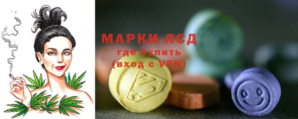 спиды Пересвет