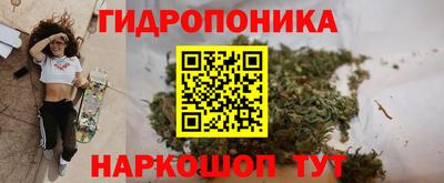 гидра Донецк