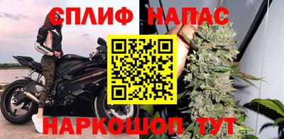 прущие грибы Дубна
