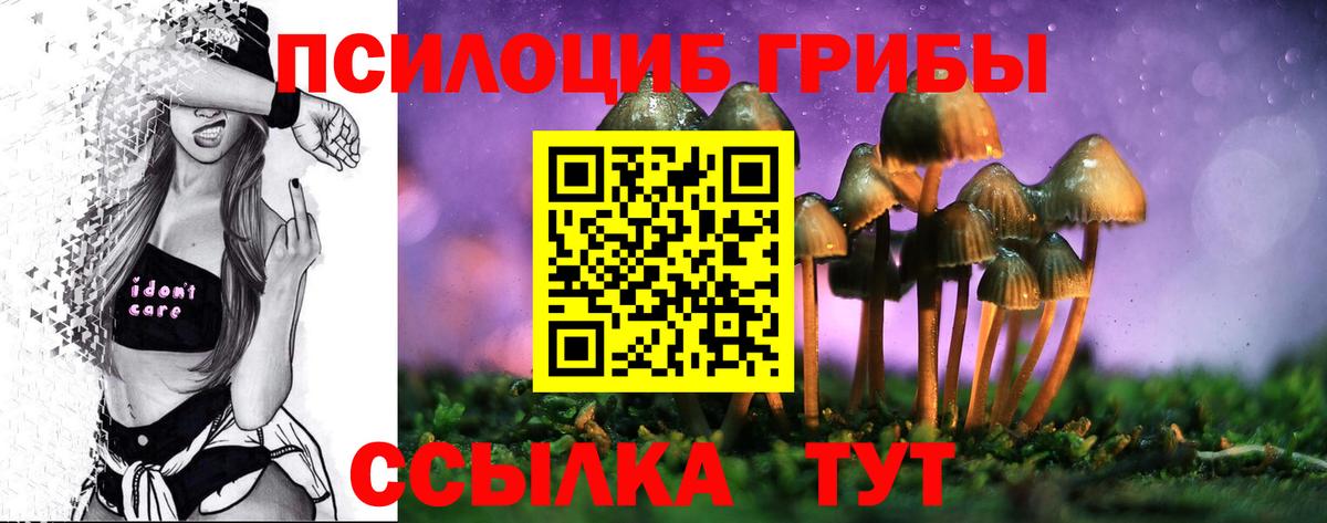 Псилоцибиновые грибы Psilocybine cubensis  Галлюциногенные грибы GOLDEN TEACHER  Вход с VPN  Партизанск 