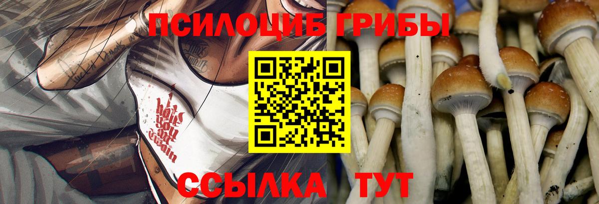 Псилоцибиновые грибы мухоморы Партизанск
