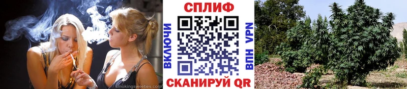 Шишки марихуана MAZAR  кракен как зайти  Партизанск  магазин   